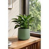 Poliva Home Atlas Saksı 4 Litre Dekoratif Çiçek Saksısı 27 cm Modern Saksı Iç ve Dış Mekan Bitki Saksısı - Yeşil