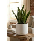 poliva home Atlas Saksı 4 Litre Dekoratif Çiçek Saksısı 27 cm Modern Saksı İç ve Dış Mekan Bitki Saksısı