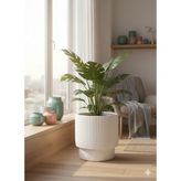 Poliva Vega Model Büyük Dekoratif Modern Saksı ve Vazo 20 Lt ( 31,5cm x 32 cm )Içsiz - Beyaz