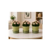 Poliwork 3'lü Set 0,40 Litre Ixora 9 Plastik Saksı Tabaklı Dekoratif Çiçek Saksısı Modern Mat Bitki Saksısı yeşil
