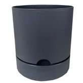 Poliwork Begonya 9 cm Antrasit Saksı