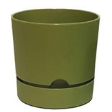 Poliwork Begonya 9 cm Yosun Yeşili Saksı