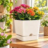 Poliwork Begonya Kare 16 Kare Saksı 2,3 Litre 16X15 cm Tabaklı Modern Plastik Saksı Iç ve Dış Mekan - Beyaz