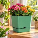 Poliwork Begonya Kare 16 Kare Saksı 2,3 Litre 16X15 cm Tabaklı Modern Plastik Saksı Iç ve Dış Mekan - Yeşil