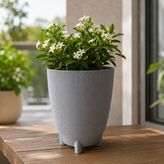 Poliwork Dekoratif Ayaklı Saksı Luna 18 Tall 4 Lt 24X19 cm Çizgili Modern Plastik Saksı Iç ve Dış Mekan Kullanımı - Gri