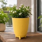 Poliwork Dekoratif Ayaklı Saksı Luna 18 Tall 4 Lt 24X19 cm Çizgili Modern Plastik Saksı Iç ve Dış Mekan Kullanımı - Sarı