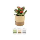 Poliwork IXORA15 Polyester Saksı / Floralia Plant - Krem