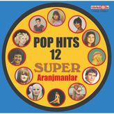 Pop Hits 12. Super Aranjmanlar Lp Plak