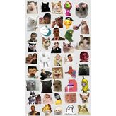 Popüler Sticker Telefon Laptop Notebook Tablet Defter Matara Stiker Etiket ST1724
