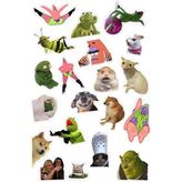 Popüler Sticker Telefon Laptop Notebook Tablet Defter Matara Stiker Etiket ST862
