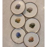 Porland Ortanca 6 Parça Pasta Tabağı 20CM Porselen