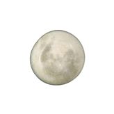 Porland Stoneware Selene 23 cm 6 Adet Çukur Tabak