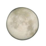 Porland Stoneware Selene 28 cm 6 Adet Makarna&Salata Tabağı