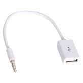 Powermaster Dişi Aux Stereo USB Kablo