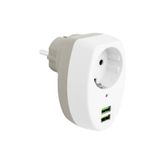 Powermaster PM-4911 10 A 2500 W 2xUSB Girişli Tekli Termal Priz