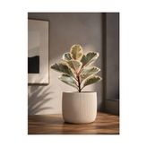 Pratik Ev Modern Çizgili Beyaz Saksı, 12X15 Cm, Masaüstü Iç Mekan Dekoratif Çiçek Saksısı, Pla 3D Baskı - Standart - Çok Renkli