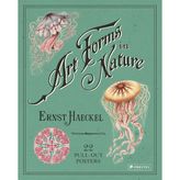 Prestel Ernst Haeckel: Art Forms In Nature: 22 Pull-Out Posters