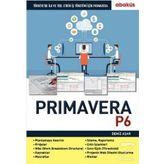 Primavera P6 - Deniz Aşar