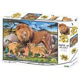 Prime 3D - Aslan Ailesi 500 Parça Yetişkin Puzzle