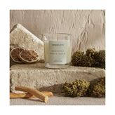 Prime Essentials Green Kokulu Mum - Option-1