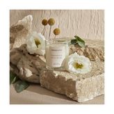 Prime Essentials Silk Musk Kokulu Mum - Option-1