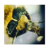 Prime Foldscope Cep Mikroskobu Kaşif Seti