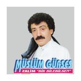 Prime Gürses - Zalim - Bir Bilebilsen (Plak)