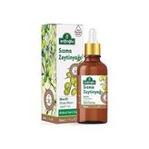 Prime Sızma Zeytinyağı 50ML - 50 ml