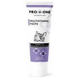 Pro One 100 gr Kediler İçin Multivitamin Macun