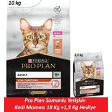 Pro Plan Vital Function 10 kg Somonlu Yetişkin Kedi Maması
