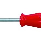 Pro-Scr Scr02581-6X100Mm. Yıldız Uçlu Tornavida