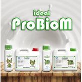 Probiom 5 (Lt) Yem Katkısı