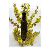 ProHerbal 250 ml Sığırkuyruğu Özü