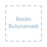PSIKOTERAPI VAKA FORMÜLASYONU - TRACY D. EELLS