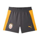 Puma Çocuk Şort Galatasaray Antrenman Antrasit Örme