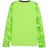 Puma Erkek Yeşil Puma Gsk Gk Jersey Ls Galatasaray 26/27 Erkek Kaleci Forması