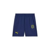 Puma Fenerbahçe S.K. 24/25 Erkek SPECIAL ŞORT
