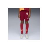 Puma Galatasaray 2025/2026 İç Saha Parçalı Çocuk Şort