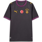 Puma Galatasaray 26/27 Erkek Deplasman Forması (785013-05) - XL - Gri