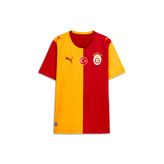 Puma Galatasaray 26/27 Erkek İç Saha Forması (784991-01)