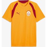 Puma Galatasaray 26/27 Erkek Sarı Antrenman Forma.07 - Siyah