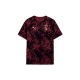 Puma GALATASARAY Erkek Maç Öncesi Antrenman Tişört