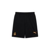 Puma GALATASARAY FtblESSENTIALS Erkek Şort