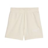 PUMA SCRIPT High-Waist Shorts Kadın Şort, Alpine Snow, XS