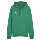 Puma Teamgoal Casuals Hoody Erkek Futbol Antrenman Sweatshirts 65861805 Yeşil