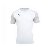 Puma Teamgoal Erkek Tişört (Gri/L)