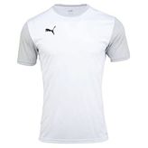 Puma Teamgoal Erkek Tişört (Gri/S)