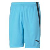 Puma Teamliga Shorts Mavi Erkek Futbol Şortu