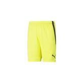 Puma Teamliga Shorts Sarı Erkek Futbol Şortu