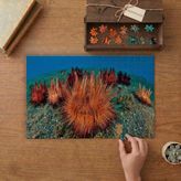 Punto Dizayn Deniz Kestaneleri Tasarımı 240 Parça Ahşap Puzzle Ahşap Kutuda MPY60454